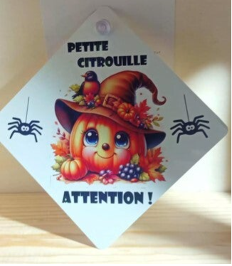 Plaque déco personnalisée pour voiture – Aluminium